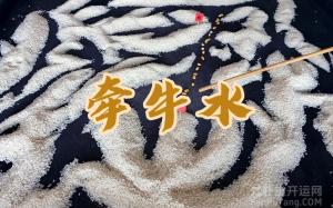 牵牛水煞真的会破财？一文破解风水界的 "穿心箭" 之谜
